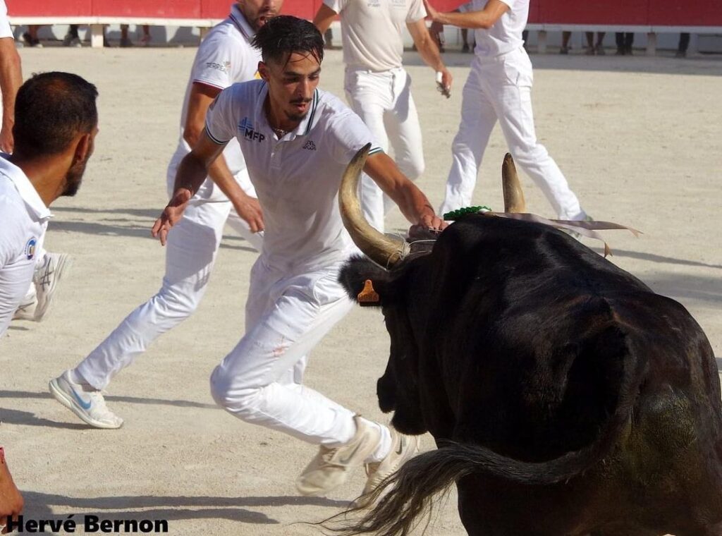 Le raseteur Belkacem Benhammou en compétition de course camarguaise pris en photo par Hervé Bernon