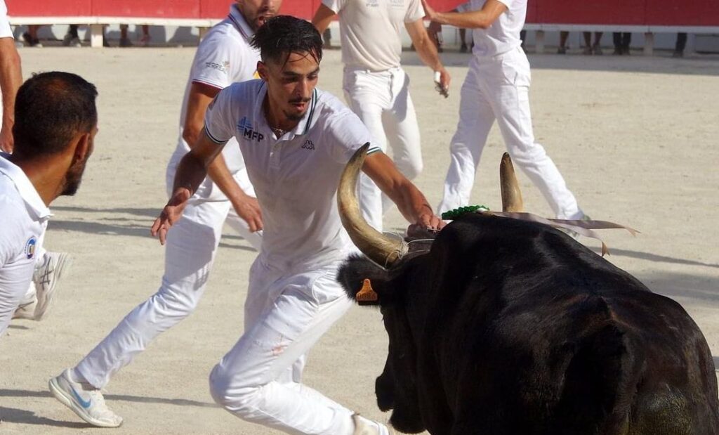 Photo du raseteur Belkacem Benhammou