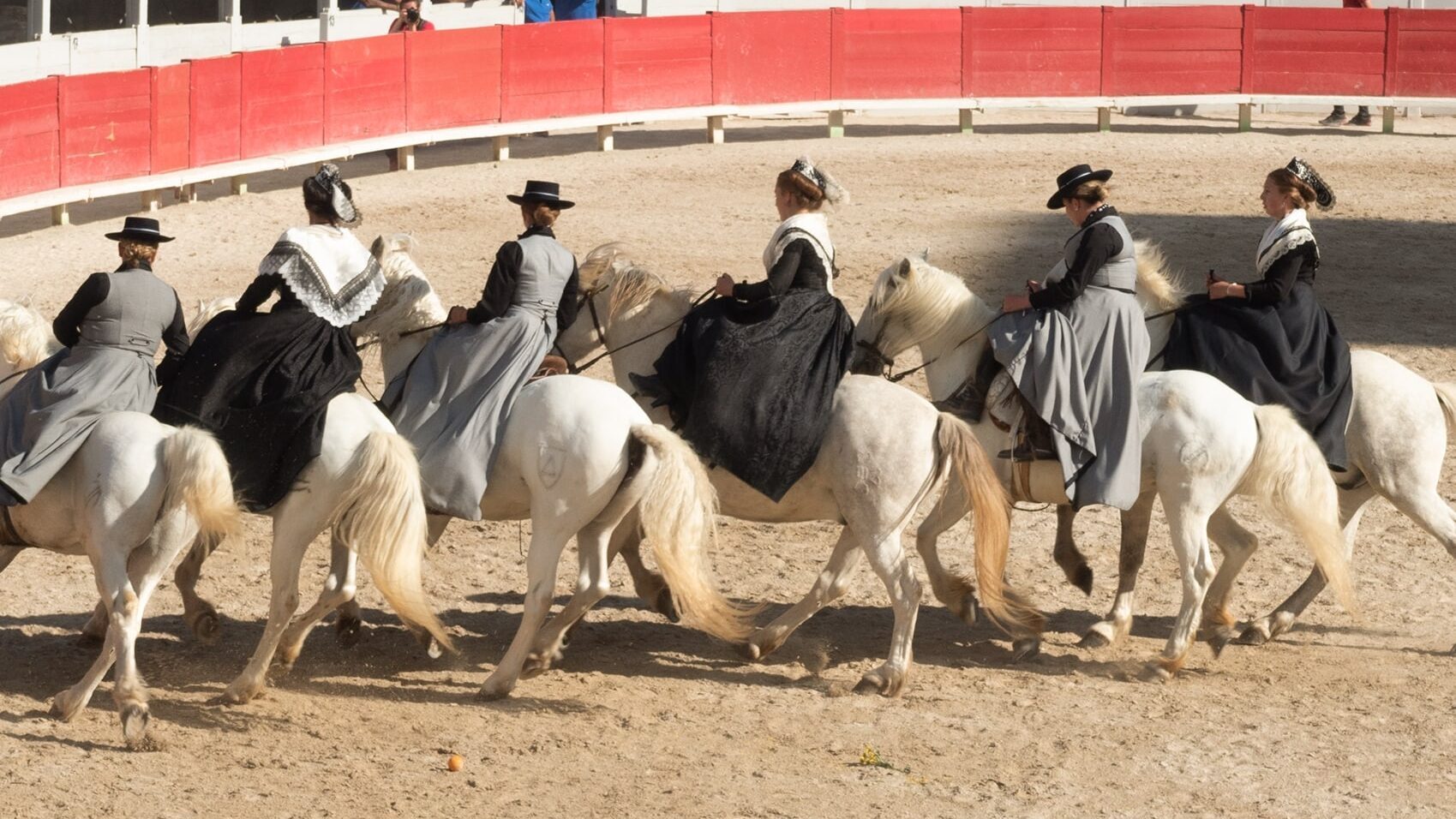 Photo carousel monte amazone confrerie des gardians