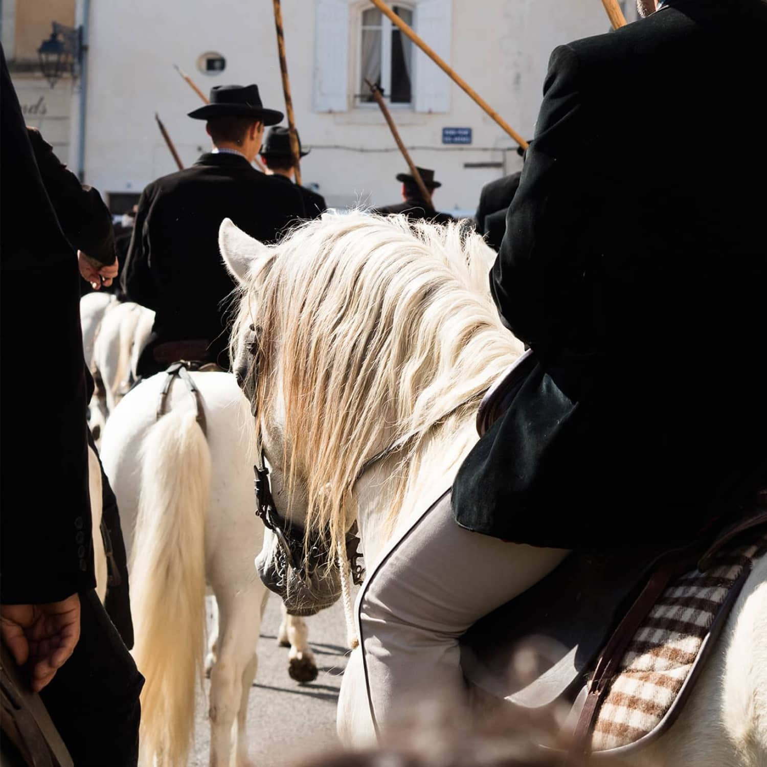 Vêtements camarguais - Vincent et Mireille